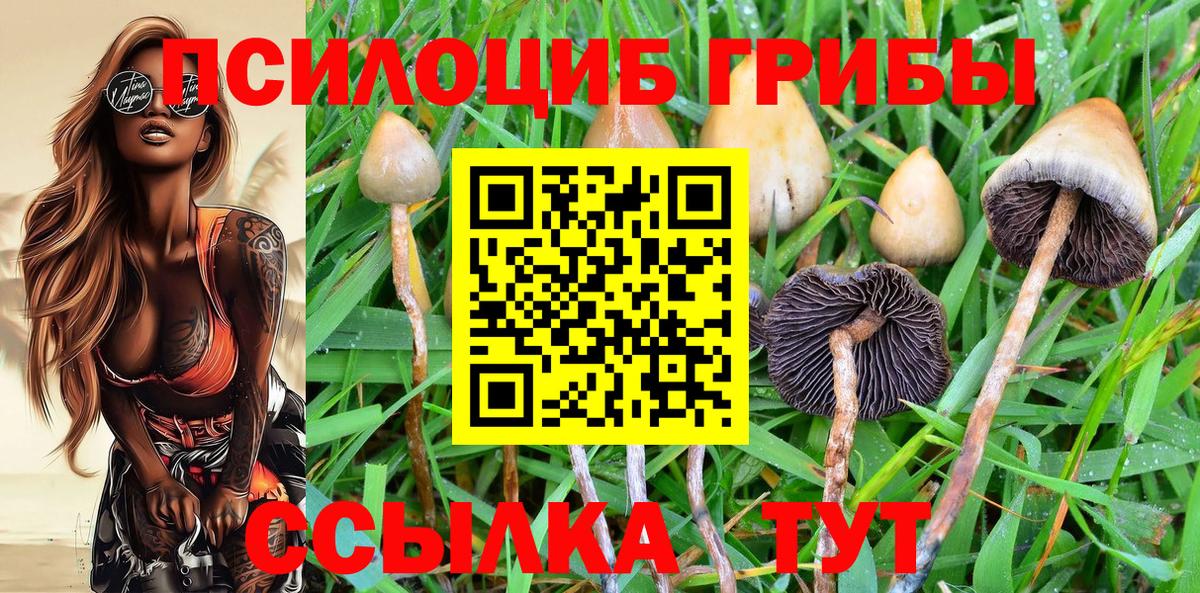 Псилоцибиновые грибы Magic Shrooms Миасс