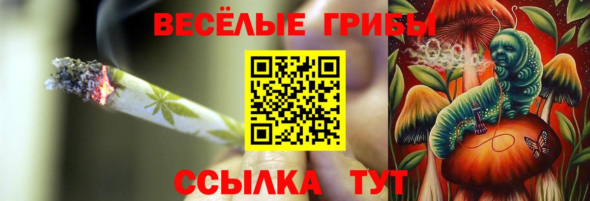 Миасс  Псилоцибиновые грибы ЛСД  Вход с VPN 